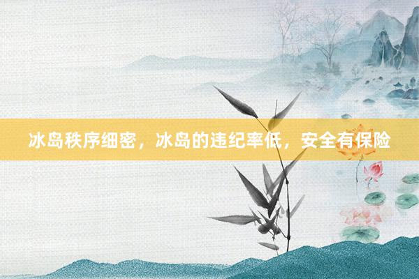 冰岛秩序细密，冰岛的违纪率低，安全有保险