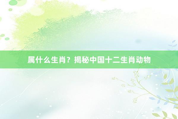 属什么生肖？揭秘中国十二生肖动物