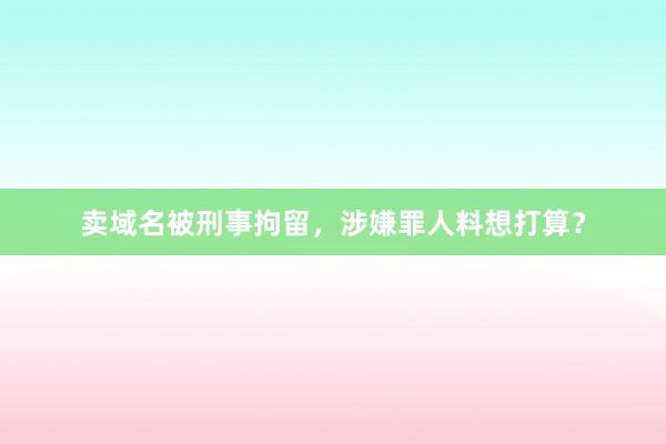 卖域名被刑事拘留，涉嫌罪人料想打算？