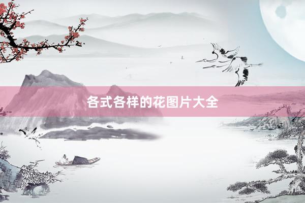 各式各样的花图片大全